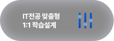 IT전공 맞춤형 1:1 학습설계