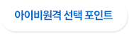 아이비원격 선택 포인트
