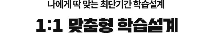 1:1 맞춤형 학습설계